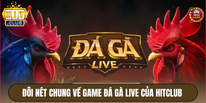 Đá Gà Live Hitclub - Cách Chơi Chi Tiết Cho Người Mới 2 Đôi nét chung về game đá gà live của Hitclub