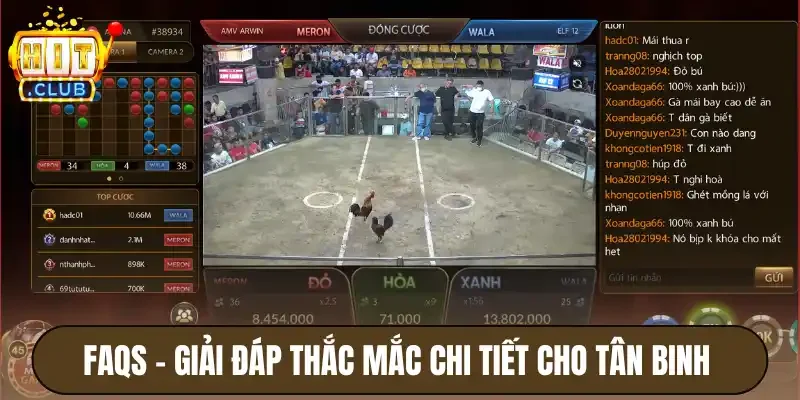 Đá Gà Live Hitclub - Cách Chơi Chi Tiết Cho Người Mới 4 FAQs - Giải đáp thắc mắc chi tiết cho tân binh